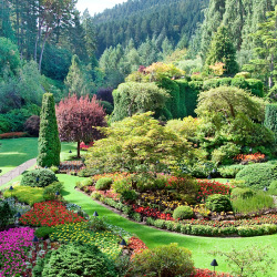 Landscape Maintenance